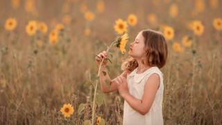 Girl flower sunflower field fall - the fall free wallpaper