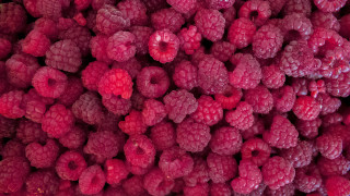 Raspberries pile macro flower rose - a pile free wallpaper