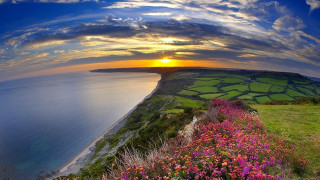 Sunset grassy hill flower lake - beautiful landscape free wallpaper