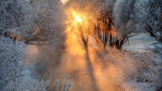 Sunbeam forest snow stream volumetric - a sunbeam free wallpaper