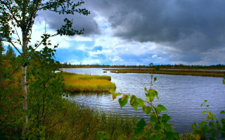 Lake trees grass clouds impasto - under free wallpaper for desktop