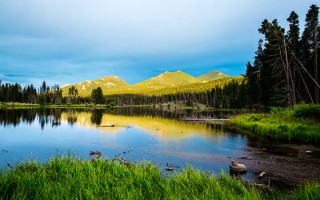 Lake mountains trees birds ducks 2 - the water and grass free wallpaper