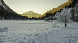 Snow covered field lake mountains - the ground and trees free wallpaper