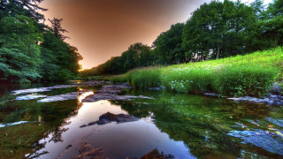 River grassy bank trees sunset - alexander brook free wallpaper