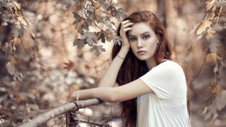 Woman red hair woods leaves - a picture free wallpaper