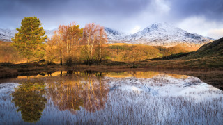 Mountain lake trees cloudy sky 3 - david garner free wallpaper