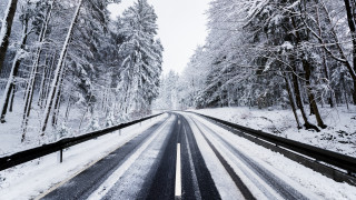Snowy forest road bench bare - both side of it free wallpaper