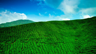 Green hill blue sky clouds 5 - ella guru free wallpaper