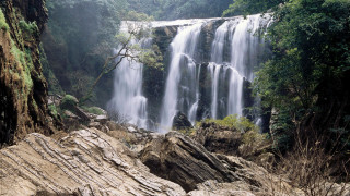 Waterfall abundant water trees sides - a large amount of water free wallpaper