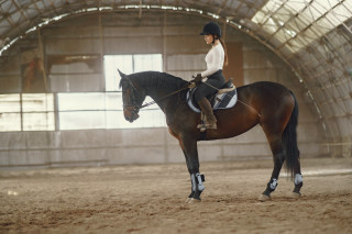 Woman horse indoor arabesque digital - a woman riding free wallpaper