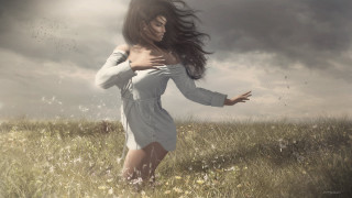 Woman field bird sky clouds - a woman in a field free wallpaper