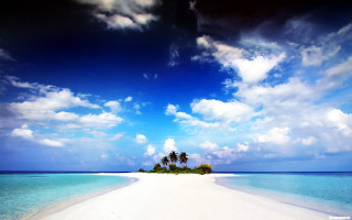 Deserted beach palm tree island - beautiful landscape free wallpaper for desktop