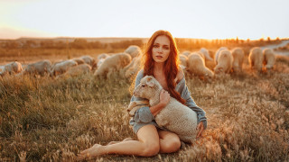 Woman sitting field sunset animals - anka zhuravleva free wallpaper