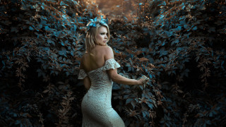 Woman dress bush bow fashion - a bow free wallpaper