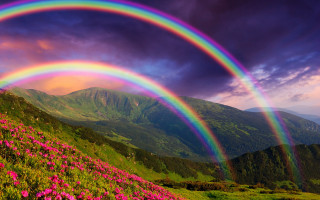 Rainbow mountain flower sky light - mystical free wallpaper