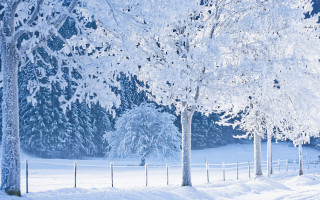 Snowboarder winter matte scene blue - the snow free wallpaper