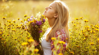 Flower field woman summer autumn - a bouquet of flowers free wallpaper