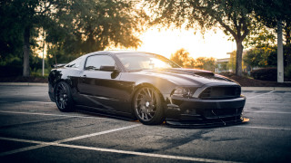 Black mustang parked autumn forest - the background and a sun free wallpaper