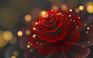 Red flower water droplets bokeh - alison kinnaird free wallpaper