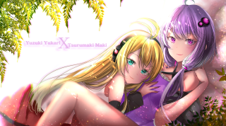 Anime girls sitting woods nature - sakimi chan free wallpaper for desktop