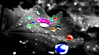 Leaf water drops blue circle - drop of water free wallpaper