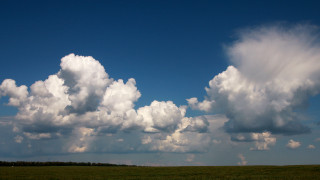 Large cloud sky field trees - a large cloud free wallpaper