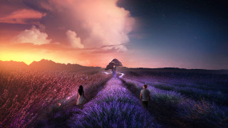 Lavender sunset couple field house - a house in the distance free wallpaper