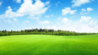 Green field trees blue sky 2 - a matte painting free wallpaper