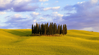 Field trees blue sky clouds 15 - impressionist free wallpaper