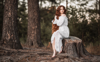 Woman white dress tree stump 2 - the background and a woman free wallpaper
