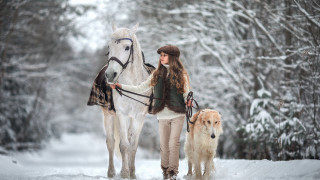 Woman dogs horse snow woods - in the wood free wallpaper
