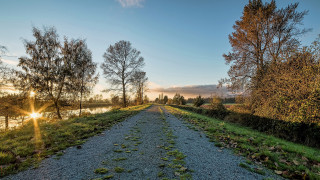 Dirt road grass trees river - grass and trees free wallpaper