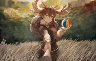 Woman horns holding ball grass - the background and a sky background free wallpaper