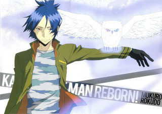 Blue hair man owl wings - a white owl free wallpaper