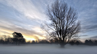 Lone tree snowy field sunset 4 - a lone tree in a snowy field free wallpaper