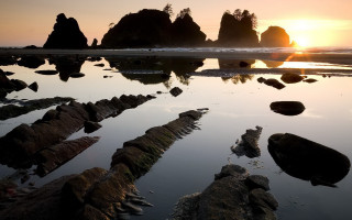 Sunset beach rocks water trees - rock and water free wallpaper