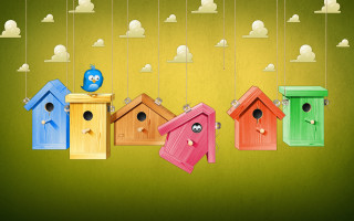 Colorful birdhouses hanging bird blue - a blue bird free wallpaper