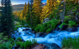 Mountain stream forest rocks sunset - the mountain free wallpaper