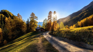 Dirt road house mountains trees - the mountain free wallpaper