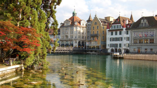 River ducks architecture cityscape flowers - art free wallpaper