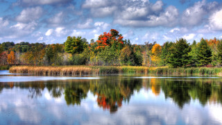Lake trees clouds reflection sunset - the sky free wallpaper