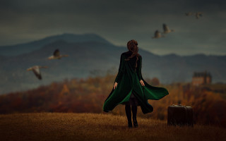 Woman green coat suitcase birds 2 - anka zhuravleva free wallpaper