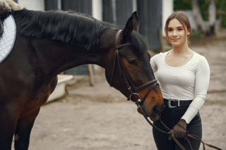 Woman brown black horse dirt - a black horse free wallpaper