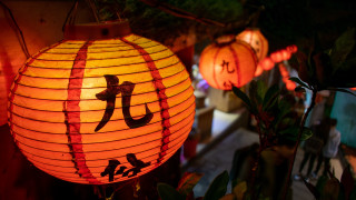 Lantern chinese character faces plant - a silk screen free wallpaper