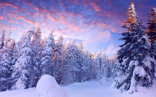 Snowy mountain forest sunset pink - evgeny lushpin free wallpaper