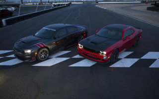 Two cars race track checkered - floor free wallpaper