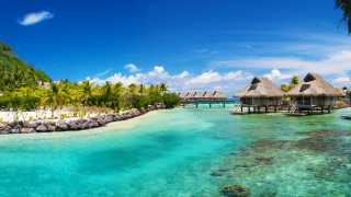 Tropical resort lagoon dock palm - the water and palm trees free wallpaper