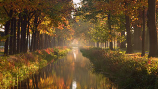 River forest autumn impressionism bridge - autumn free wallpaper