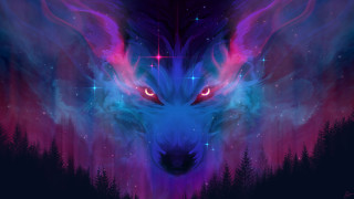 Glowing blue wolf starry night 2 - star and trees free wallpaper