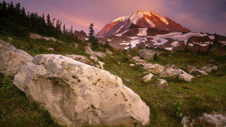 Mountain snow peak forest river - a pink sky free wallpaper